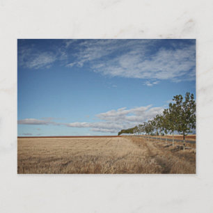 Cartão Postal fotografias del Camino de santiago