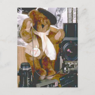 Cartão Postal Fotógrafo Bear - Jornalista de Imprensa