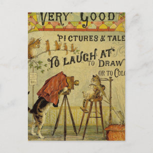 Cartão Postal Fotógrafo de Gato para Gatos