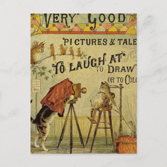 Cartão Postal Fotógrafo de Gato para Gatos (Frente)