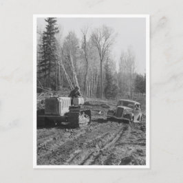 Cartão Postal Fotógrafo sendo tirado da lama