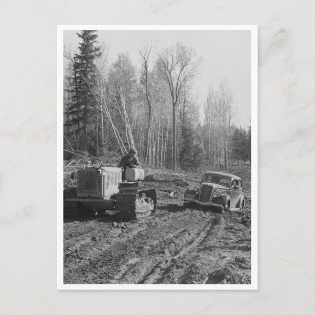 Cartão Postal Fotógrafo sendo tirado da lama (Frente)