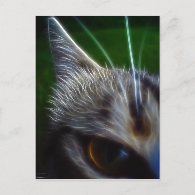 Cartão Postal Fotomanipulação Ocular de Gato (Frente)