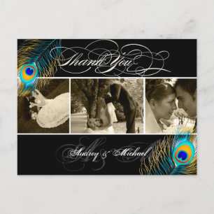 Cartão Postal Fotos de Casamento de Pavão PixDezines