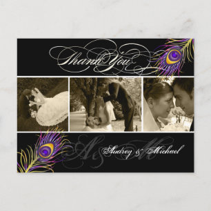 Cartão Postal Fotos de Casamento de Pavão PixDezines