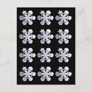 Cartão Postal Fotos de Cristal Snowflake