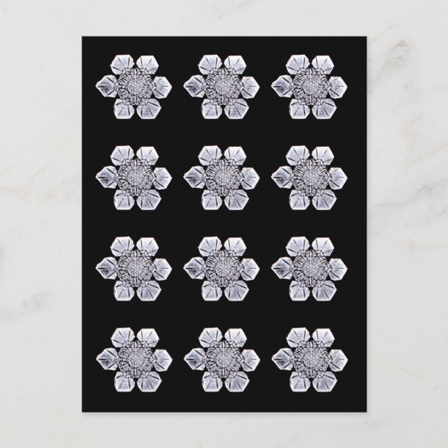 Cartão Postal Fotos de Cristal Snowflake (Frente)