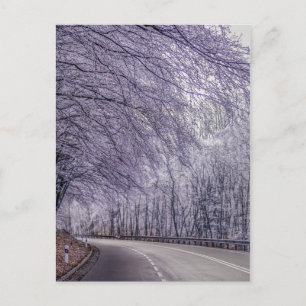 Cartão Postal Fotos de Viagem de Natal no Inverno