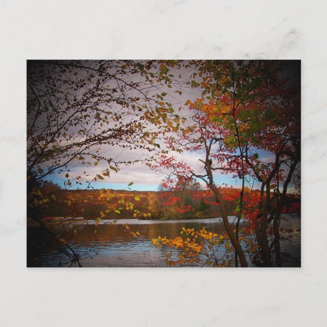 Cartão Postal fotos naturais (Frente)