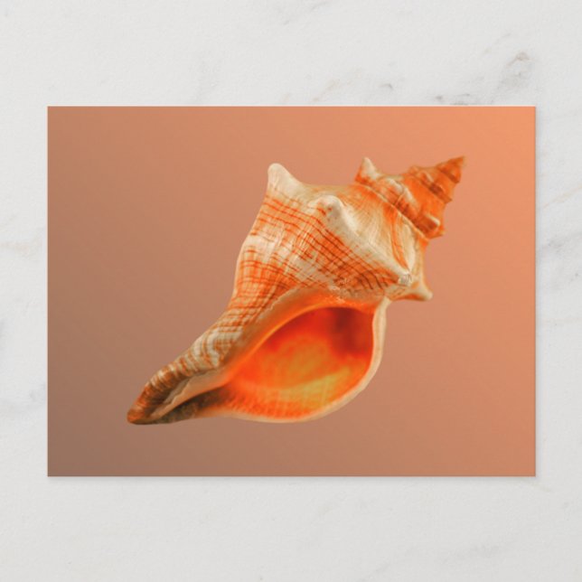 Cartão Postal Fox descascado (Frente)