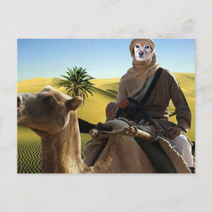 Cartão Postal Fox É Lawrence Da Arábia