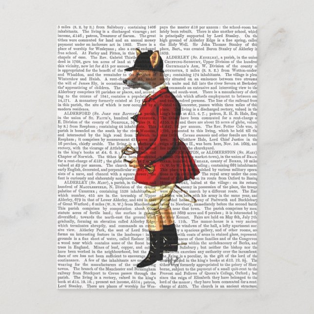 Cartão Postal Fox Hunter 1 2 (Frente)