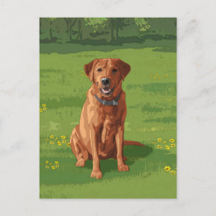 Cartão Postal Fox Red Yellow Labrador Retriever Cão
