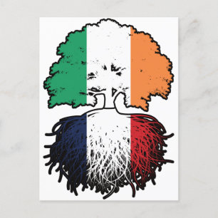 Cartão Postal França Irlanda Francês, Árvore Rota Bandeira