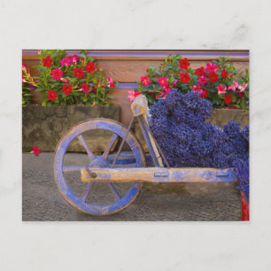 Cartão Postal França, Provença, Sault. Velha carroça de madeira