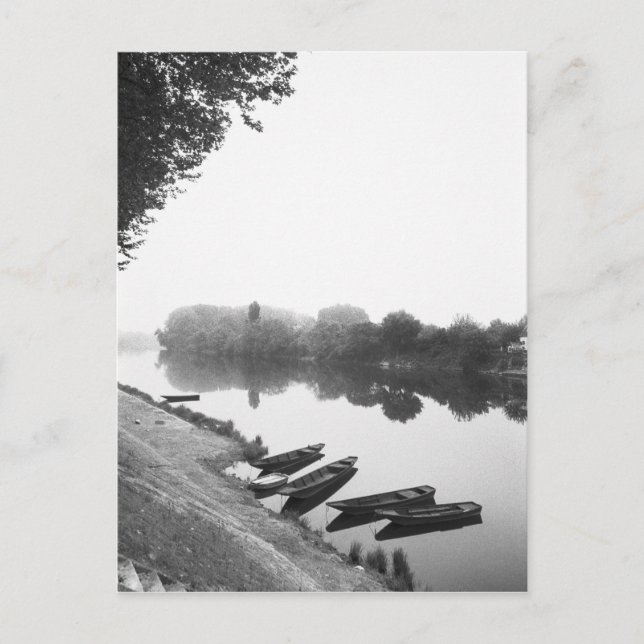 Cartão Postal FRANÇA, Touraine, Loire: Gatos CHINON junto (Frente)