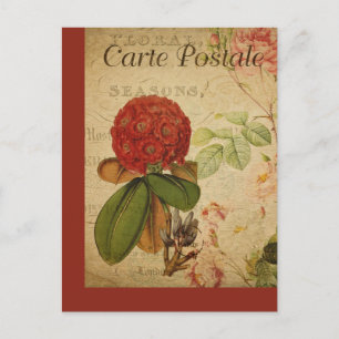 Cartão Postal Francês Botânico Antigo Rhododendron