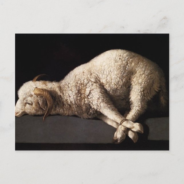 Cartão Postal Francisco de Zurbaran - Agnus Dei (Frente)