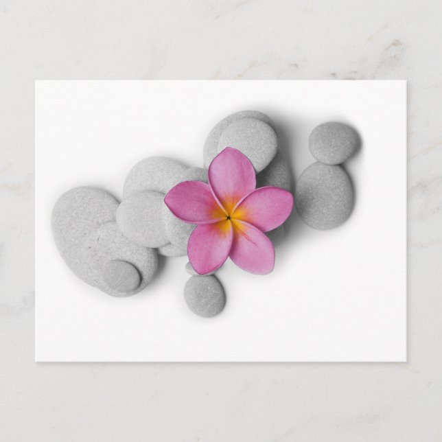 Cartão Postal Frangipani Calm (Frente)