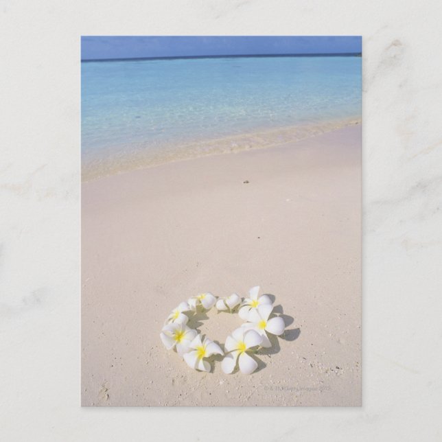 Cartão Postal Frangipani na praia (Frente)