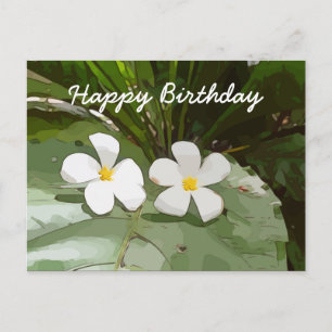 Cartão Postal Frangipani Plumeria flores em verde Aniversário