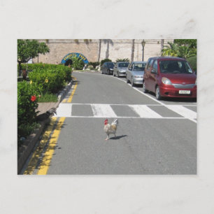 CARTÃO POSTAL FRANGO BERMUDA