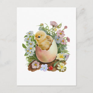 Cartão Postal Frango Fofo na Casca de Ovo & Flores de Aquarela