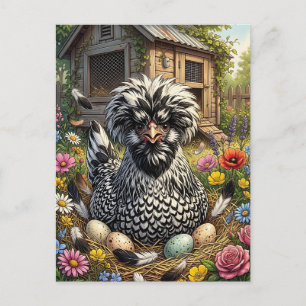Cartão Postal Frango Polonês Preto e Branco Fofo