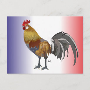 Cartão Postal Frankreich - França Postkarte
