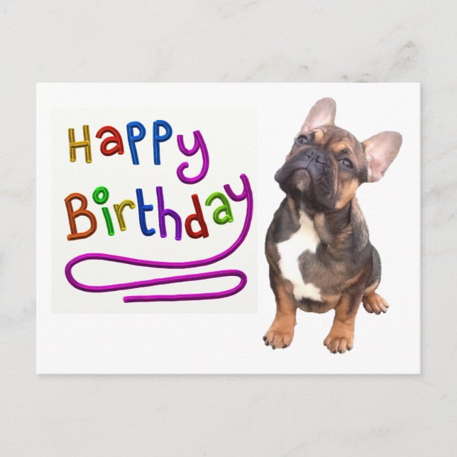 Cartão Postal Französische Bulldogge Birthday French Bulldog (Frente)