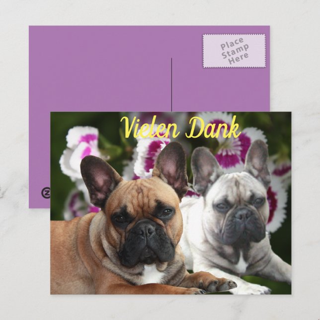 Cartão Postal Französische Bulldogge Danke French Bulldog  (Frente/Verso)