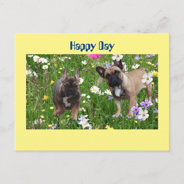 Cartão Postal Französische Bulldogge Happy Day French Bulldog (Frente)