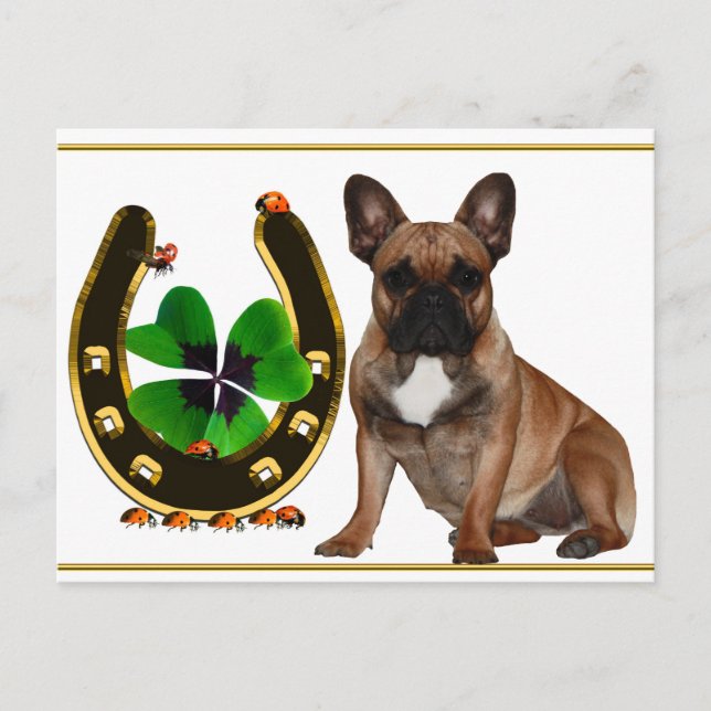 Cartão Postal Französische Bulldogge Hufeisen French Bulldog (Frente)