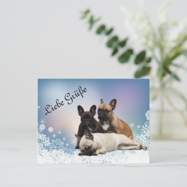 Cartão Postal Französische Bulldogge Neujahr French Bulldog (Em pé/Frente)