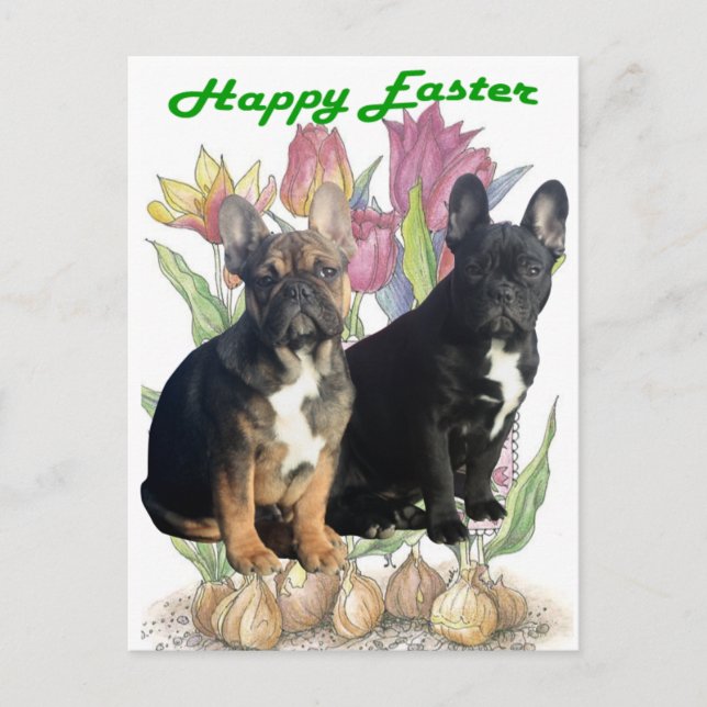 Cartão Postal Französische Bulldogge  Ostern French Bulldog (Frente)