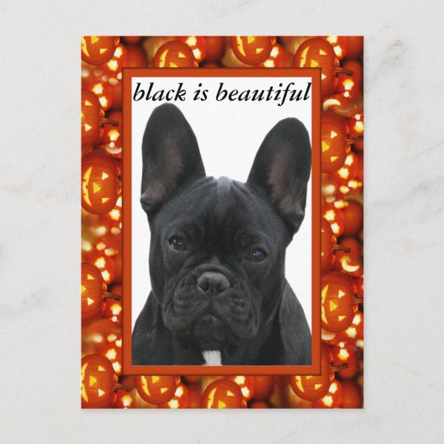 Cartão Postal Französische Bulldogge Postkarte (Frente)