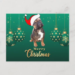 Cartão Postal  französische Bulldoggen Christmas French Bulldog 