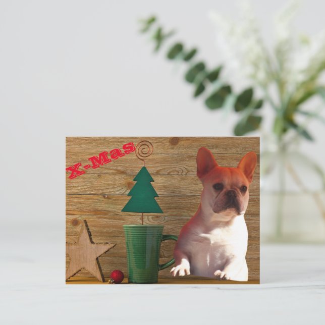 Cartão Postal  französische Bulldoggen Christmas French Bulldog  (Em pé/Frente)