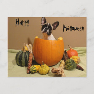 Cartão Postal Französische Bulldoggen Postkarte Halloween