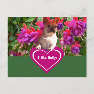 Cartão Postal Französische Bulldoggen Postkarten