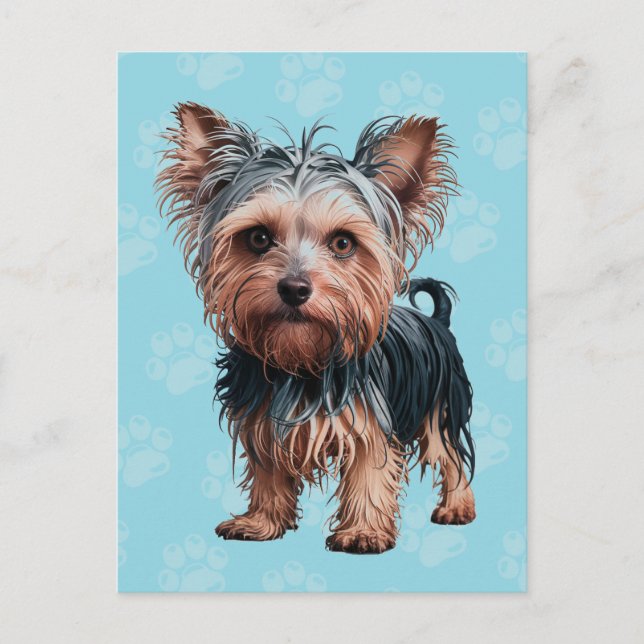 Cartão Postal Frazzled Yorkie Dog Postcard Yorkshire Terrier (Frente)