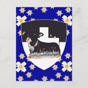 Cartão Postal Freiburg / Fribourg Schweiz Suisse Postkarte