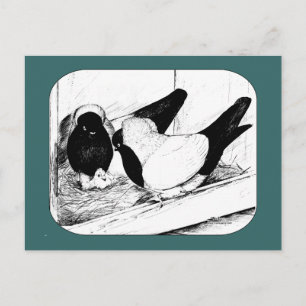 Cartão Postal Freiras 1980