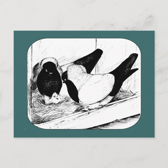 Cartão Postal Freiras 1980 (Frente)