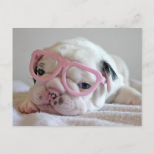 Cartão Postal French Bulldog in Heart Glasses