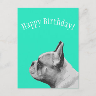 Cartão Postal Frenchie   Feliz Aniversário em cor aqua