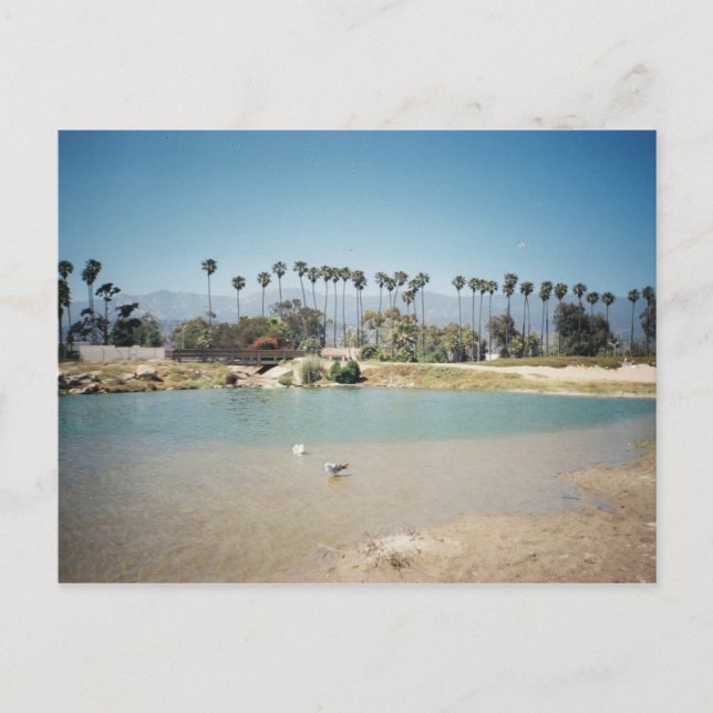 Cartão Postal Frente à praia (Frente)