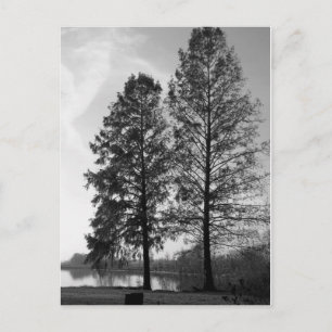 Cartão Postal Frente aquática de Maryland