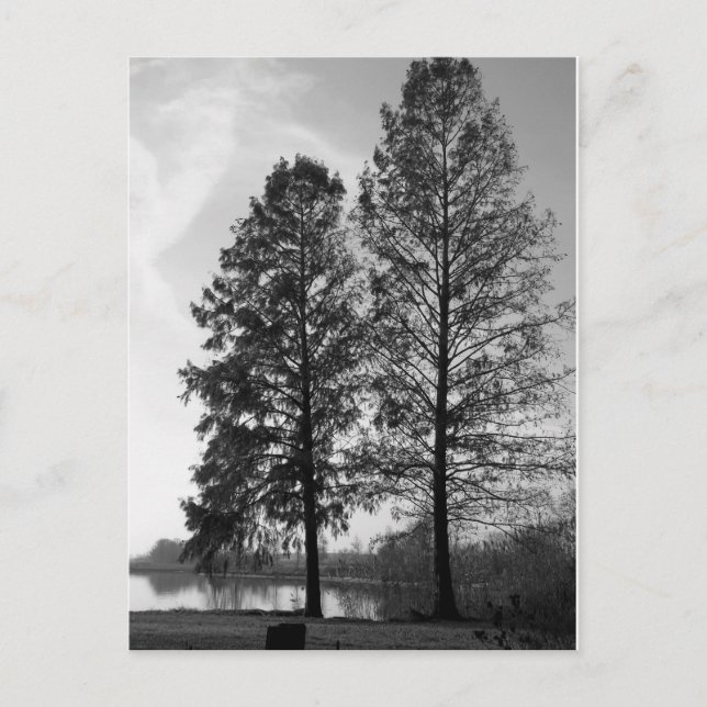 Cartão Postal Frente aquática de Maryland (Frente)