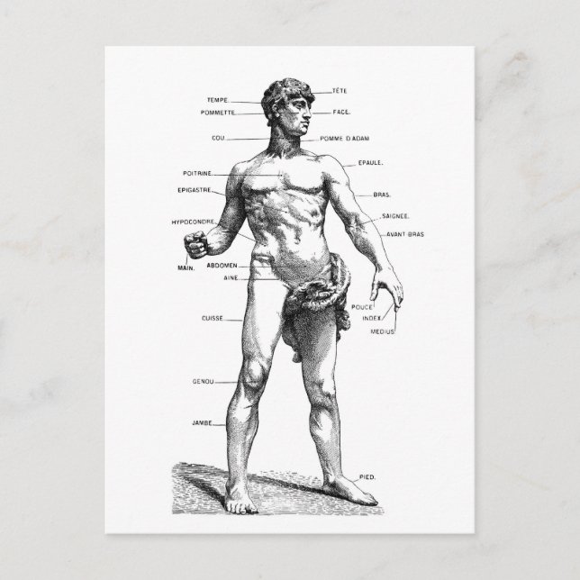 Cartão Postal Frente masculina (Frente)